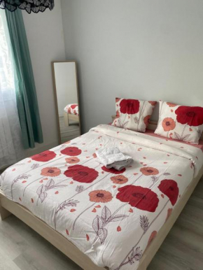 Appartement entier